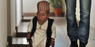 laki laki terpendek di dunia